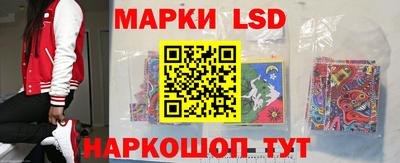 гидропоника Кингисепп