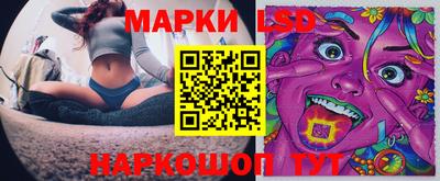 гидропоника Кингисепп