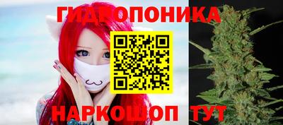 гидропоника Кингисепп