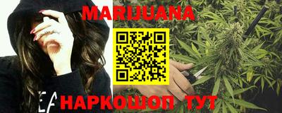 гидропоника Кингисепп