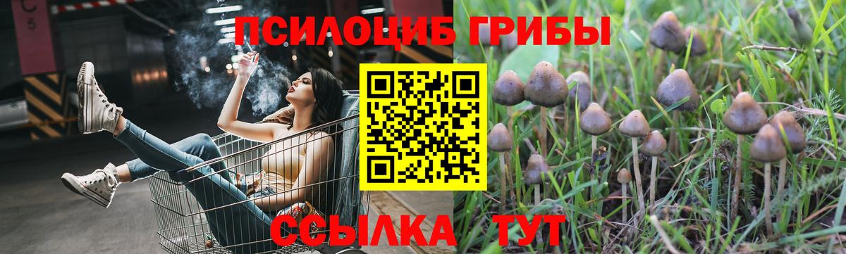 Галлюциногенные грибы MAGIC MUSHROOMS  Галлюциногенные грибы Psilocybe  Красноармейск  Вход с VPN 